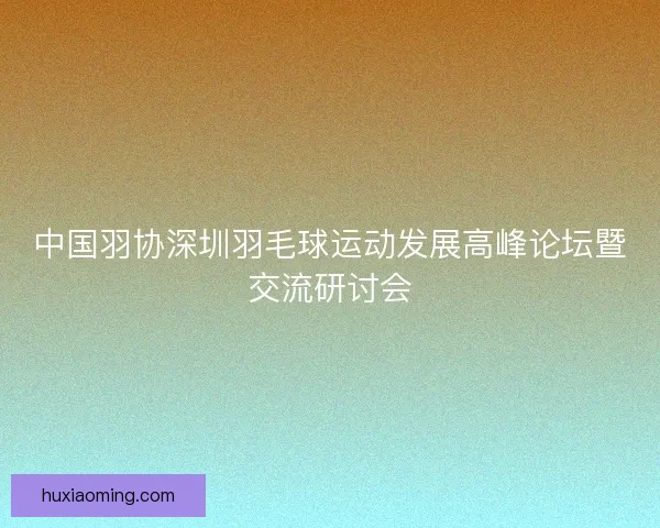 中国羽协深圳羽毛球运动发展高峰论坛暨交流研讨会